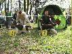 MADDOX pokona� swego miotowego brata.