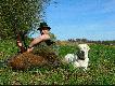 Dzik kt�rego pozyska�em w dniu 19.04.09, podczas polowania z podchodu. Znaleziony dopiero na drugi dzie� rano. Pies popieszczony pr�dem z pastucha odm�wi� pos�usze�stwa, i nie chcia� podj�� ponownie tropu. Po przeprowadzonej w domu rozmowie wychowawczej z psem powr�cili�my na miejsce  rano, i efekt jak wida� -:)))