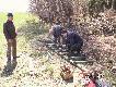 Po udanym polowaniu wzieli�my sie za budowe p�ki w miejscu gdzie dziki wyrz�dzaj� du�e szkody