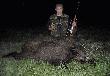 Wczorajszy dziczek 44kg nr.2 w tym sezonie.Ma�y JAGI ma dopiero dwa miesi�ce,ale dzielnie szarpa� i oszczekiwa� czarnucha.