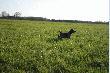 AVANTI Keiviento - sci�ga... :)))))