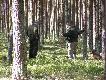 Rozwini�cie otoku i jazda. 