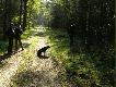 Sprawdzenie zestrza�u.