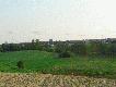 W�a�nie jecha�em na... rybki gdy natkn��em si� na pi�knego koguta