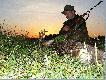 Pierwsze wyj�cie na rogacza w tym sezonie i �w. Hubert darzy. Rogacz strzelony 1 km. od mojego domu, z I�a 18 kal. 223 rem, amun. Barnaul. Po strzale na komor� rogacz przelecia� 10 m. Wiek 7-8 lat waga tuszy 21 kg.
