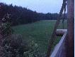 tu wida� dziki chwil� przed strza�em