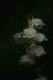 Wyjd� z cienia...
