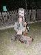 3 dzik w sezonie. Strza� ok godz 22. Zdj�cie zrobione przy "zeszycie". Pow�d - brak aparatu w terenie.