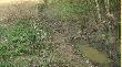 Ka�dy r�w z wod� jest zdeptany przez "czarnuchy"