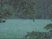 Co to jest ?  To s� 3 lochy  kt�re  widuj� od jakiego� czasu . Zdj�cie s�abe  bo aparat  lipny