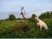I ju� po porannym polowaniu :-))))
