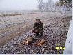 jesienny mro�ny poranek
