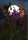 Manipulacja:-) W tle Terrano robi�cy za s�o�ce. Kwiatki wyros�y na drodze, zatrzyma�em si� i zrobi�em zdj�cie w nocy...