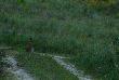 Ruda,�eby nie by�o, ja ci� �wietnie widz�! 