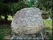 zdj�cie od bok240 
