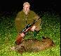 Dzik przelatek (�e�ski) waga 36 kg, pozyskany o godz. 0.30 na polu buraczanym. Watacha liczy�a �acznie z warchlakami ponad 40 dzik�w. Darz B�r.