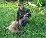 drugi rogacz tego sezonu. strzelony 18-06-2009 o godzinie 4.20 z podchodu. Spotka�em go przypadkiem bo mia�em nadzieje, �e spotkam dziki, ale zaspa�em troszk� i by�em za p�no cho� zostawi�y po sobie wizyt�wk� buchtuj�c w kukurydzy. Rogacz le�y na lewym boku z powod�w estetycznych  troszk� kula go poszarpa�a  z drugiej strony i strza� nie nale�a� do dobrych.