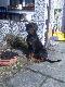 8 miesi�cy