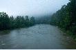 Bieszczady. Dwernik. Z lewej wody Potoku Nasicznia�skiego wp�ywaj�ce do Sanu. Zdj�cie prawie nocne...