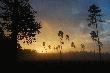 wsch�d...