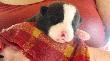 Dzie� 11