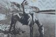 Poczt�wka.Reprint starego zdj�cia jednego z india�skich wodz�w.