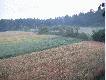 5. lipca popo�udniowe wyj�cia - widok z prawego okna ambony.
