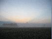 6. lipca rano - Rujowe klimaty...