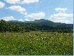 Bieszczady
Bieszczady...dzikie i pi�kne