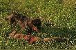 Ups... , si� zepsu�a zabaweczka :D