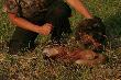 My, cztery "baby" :D
