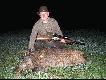 Tym  oto dzikiem ochrz�ci�em m�j nowy sztucer- BLASER R93 W kalibrze 308W. Sako Arrowhead II 11.7g