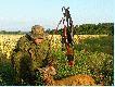 Stary wid�ak strzelony na rannym podchodzie. Wiek 7-8 lat. Strza� z I�a 223 rem. w szyjk� na 20 m. Waga 17 kg.