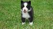 dzie� 34
