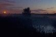21:55 zach�d ksi�yca. Ju� nied�ugo kacze polowania:-)