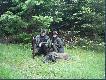 Pierwszy w tym sezonie,przelatek �e�ski strzelony 05.06.09r na porannym polowaniu.Waga 30kg