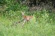 Na dniach b�d� mam�...