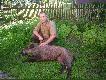 Chcia� si� wpakowa� w owiec z dwoma kompanami. �le si� to dla niego sko�czy�o, a reszta te� nie pojad�a.