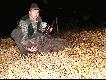 Przelatek kt�rego pozyska�em podczas nocnej zasiadki na skoszonym owsie. Waga oko�o 45 kg. 09.08.09
