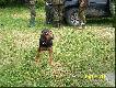 Aga kol. Mariusza. Go�czy polski 