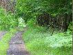 Ju� mnie zauwa�y�a (a odleg�o�� by�a spora-ok.250 m)..