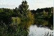 A to w�a�nie moja ukochana Drawa. �mia�o mo�na powiedzie�, �e w to miejsce idzie si� po ryby, cho� tak naprawd� ja chodz� na ryby.