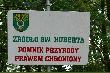 �r�d�o �w. HUBERTA
Zdj�cia te przedstawiaj� �r�d�o �w. Huberta i znajduje si� ono ko�o wsi ............... w pi�knym i uroczym miejscu. �r�d�o owe wyp�ywa z g�ry i wpada do jeziora O............... kt�re le�y w woj. .................. .  
Czy kto� wie gdzie znajduje si� owe �r�de�ko ????? ja by�em i podziwia�em.

P.S. Na ko�cu s� 3 zdj�cia przedstawiaj�ce star� modrzewiow� alej� - jedna z dr�g dojazdowych do �r�de�ka.

Zagadka rozwi�zana przez -Viola n bardzo dzi�kuje !!!
�r�de�ko znajduje si� blisko wsi Annowo 40 km od Wylatowa, w wojew�dztwie kujawsko-pomorskim, bij�ce na zboczu jeziora Ostrowieckiego. 
�r�d�o to posiada wydajno�� 8 litr�w na minut�, od pewnego czasu jest obmurowane. �r�d�o stanowi jeden z pomnik�w przyrody na terenie Pa�uk. Legenda g�osi, �e my�liwy z pobliskiego Kierzkowi nie szanowa� zwierzyny, ani �wi�tych dni. Poluj�c na zwierza, zauwa�y�, �e Lucyfer prowadzi mu pod luf� jelenia. Wystrza� rozw�cieczy� zwierz�, kt�re rani�o niepoprawnego my�liwego. Ten zlecia� z urwiska i zatrzyma� si� w ma�ym zag��bieniu, z kt�rego pop�yn�a woda. Po napiciu si� ze �r�d�a natychmiast ozdrowia� i zm�drza�. Zacz�� szanowa� zwierzyn� i j� rozumia�, a dni �wi�te �wi�ci�. �r�de�ku nadano nazw� �w. Huberta, patrona my�liwych. Mo�na tam trafi� jad�c od Annowa do Wiktorowa. Nale�y skr�ci� z asfaltowej drogi w prawo, zgodnie z oznakowaniem. Za zjazdem asfaltowej drogi zaczyna si� �cie�ka dobra zar�wno dla pieszych jak i rowerzyst�w
