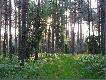 �owisko
