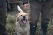 ...ile� rado�ci w tym u�miechu...