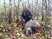 Polowanie Hubertowskie w dn. 07.11.09. zako�czone sukcesem. W p�dzeniu drugim  na stanowisku nr.13 pozyska�em pierwszego z dw�ch strzelonych dzikow. Dzik strzelony z nowego BROWNINGA kal.9,3x62 kula Lapua Mega 18,5g. powali�a go w ogniu. Waga dzika 84 kg.
