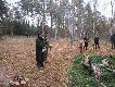 Polowanie zbiorowe w Oberf�rsterei Finkenkrug Revier Nauen. 