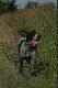 �apiemy wiatr
Fot. Urtica