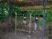 czy� Botang Team nie wygl�da imponuj�ca ??
