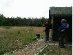ostatnie strza�y